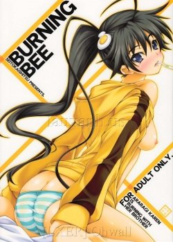 Burning Bee - Bìa truyện