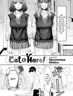 Cat Hare! - Bìa truyện