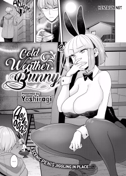 Cold Weather Bunny - Bìa truyện