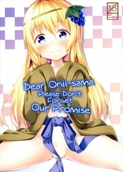 Dear Onii-sama. Please Don’t Forget Our Promise - Bìa truyện