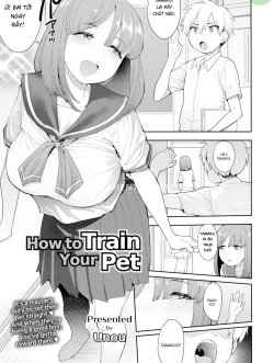 How To Train Your Pet - Bìa truyện