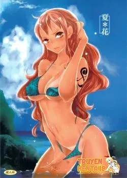 One Piece Nami Là Đoá Hoa Mùa Hè - Bìa truyện
