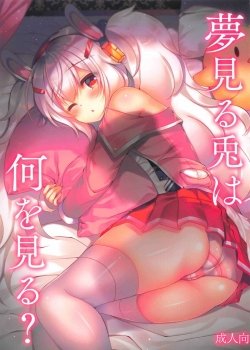 Yumemiru Usagi Wa Nani O Miru - Bìa truyện