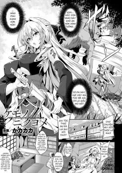 Vợ Của Quái Vật - Bìa truyện